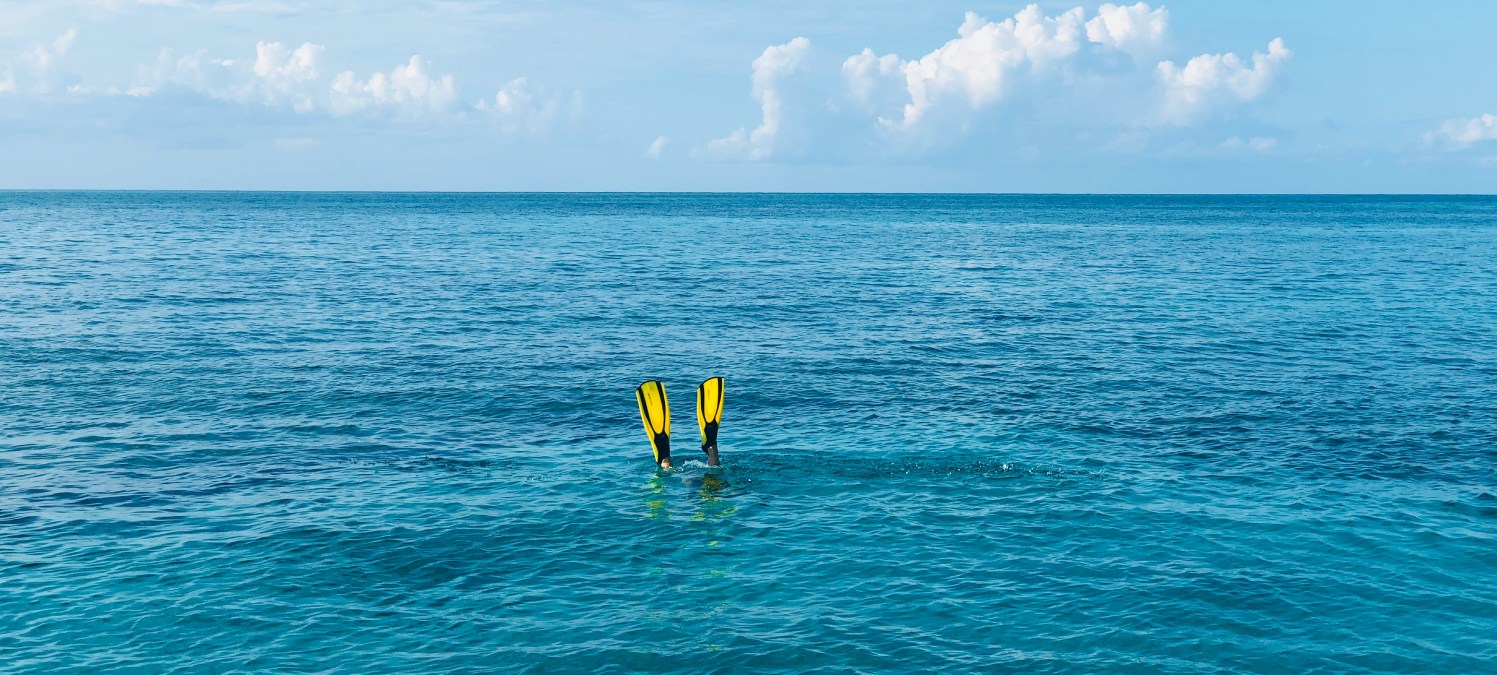 Découvrez les activités nautiques de l'Ile de Ré