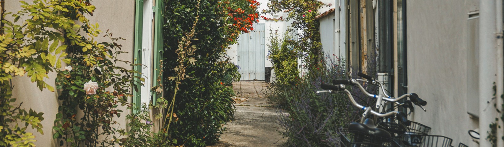 Camping Les Portes en Ré