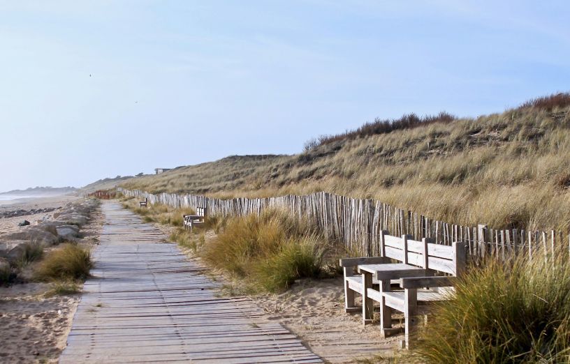 Camping Saint Clément des Baleines